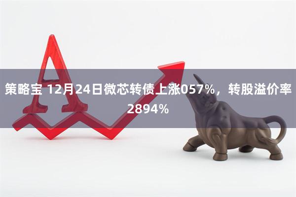 策略宝 12月24日微芯转债上涨057%，转股溢价率2894%