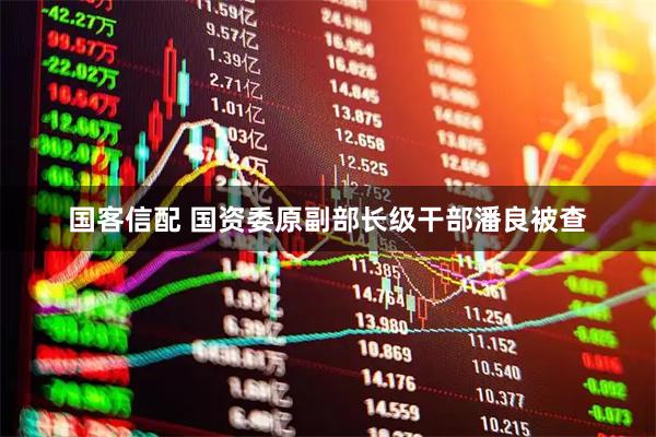 国客信配 国资委原副部长级干部潘良被查