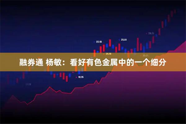 融券通 杨敏：看好有色金属中的一个细分