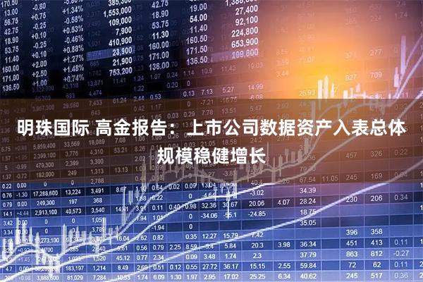 明珠国际 高金报告：上市公司数据资产入表总体规模稳健增长